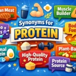 synonyms for protein