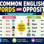 common English words and opposites list