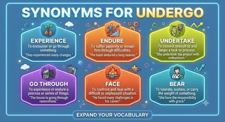synonyms for undergo