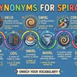 synonyms for spiral