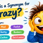 what is a synonym for crazy